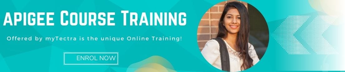 Apigee Course training