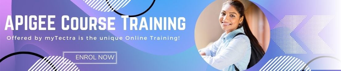Apigee Course training