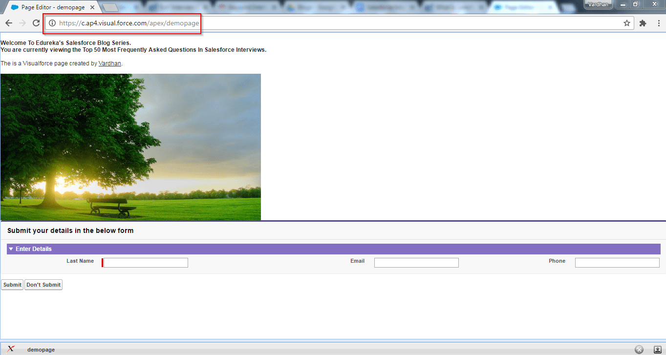 Whoid And Whatid In Salesforce