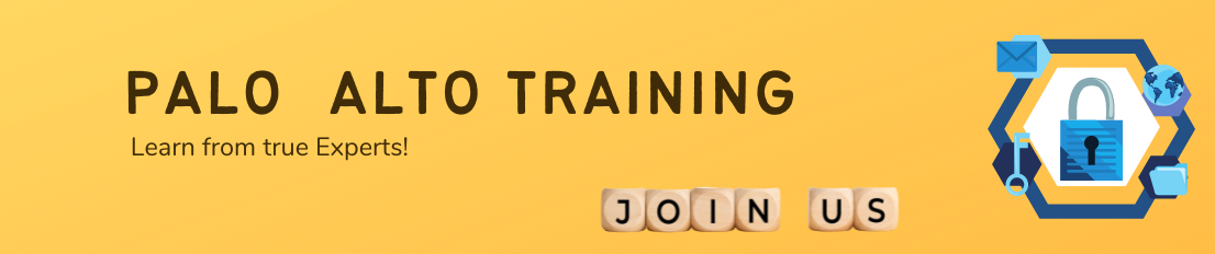 Palo Alto Online Training