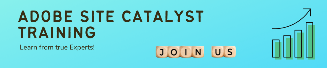 Adobe Site Catalyst Online Training