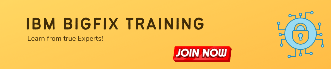 IBM BigFix Online Training