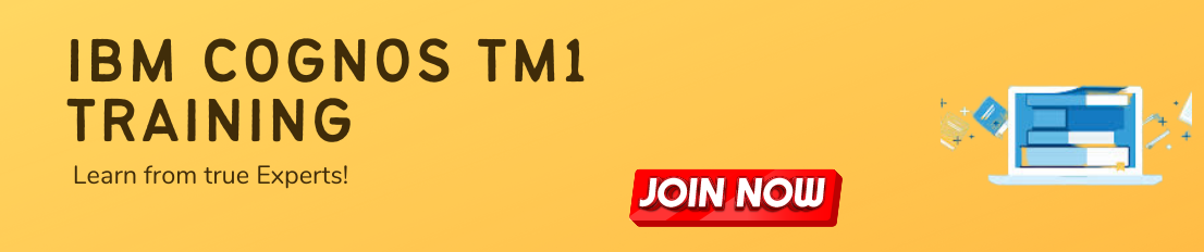 IBM Cognos TM1Online Training