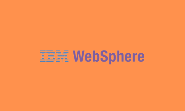 IBM Websphere Portal Developer